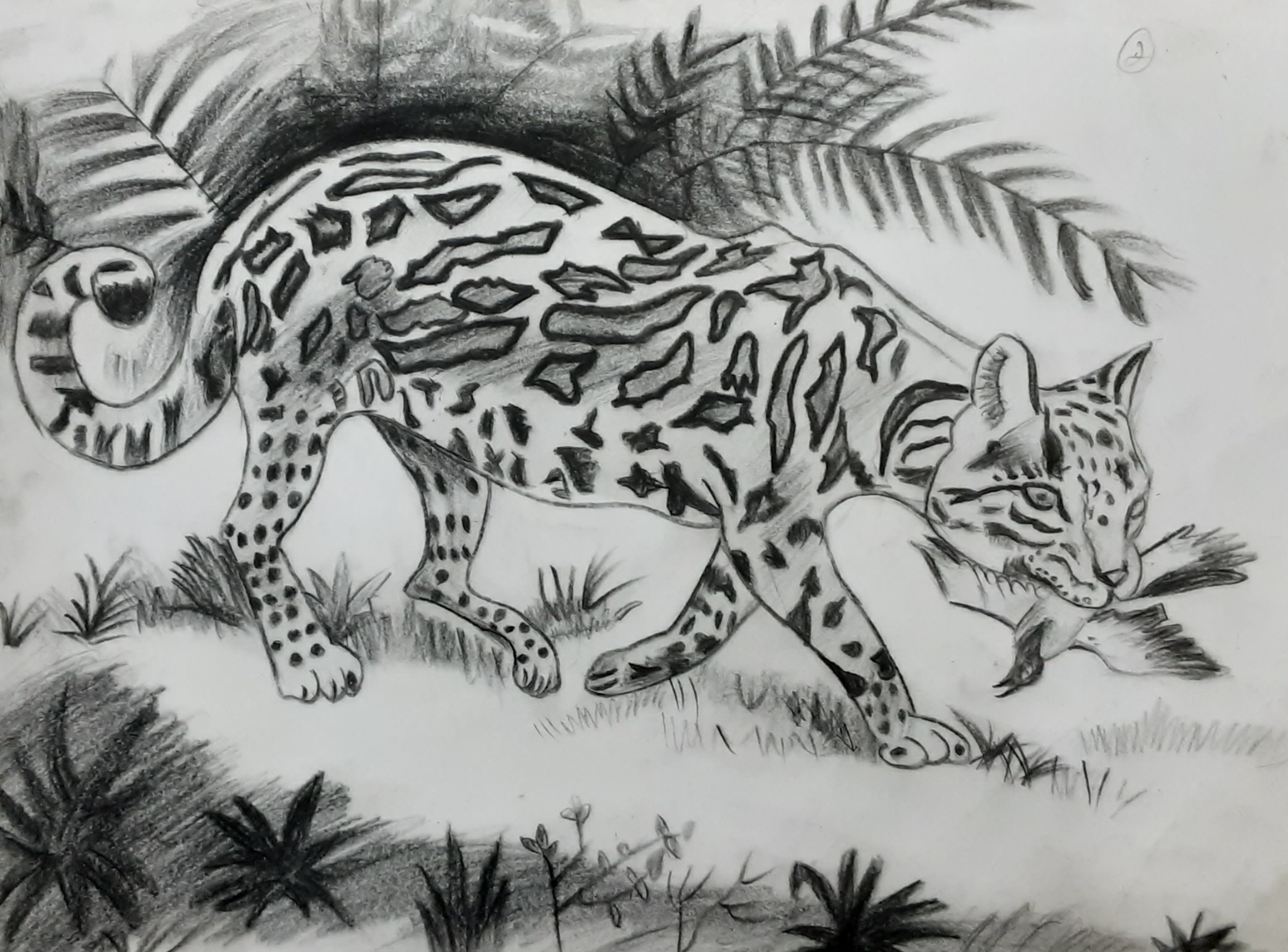 drawing 3